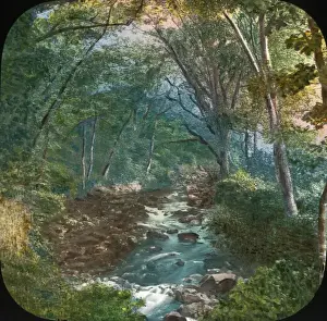 Scenery of Devon - Ivybridge - View on the River Erme