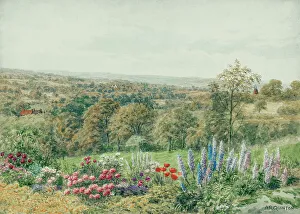 Scenery near Goudhurst, Kent