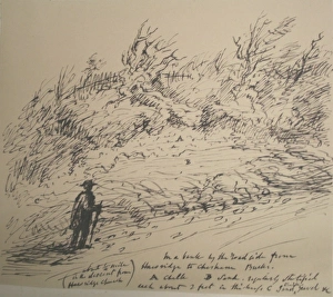 Images Dated 26th October 2011: Scenery near Hawridge, Buckinghamshire