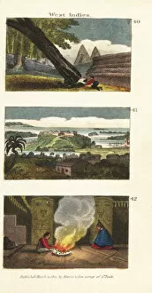 Tarry Collection: Scenes in the Americas