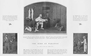 Images Dated 4th May 2016: Scenes from the Hawaiian romance The Bird of Paradise, Garri