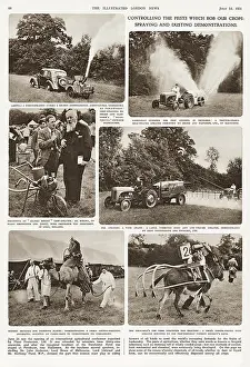 Distributor Prints: Scenes from an international agricultural conference at Fernhurst