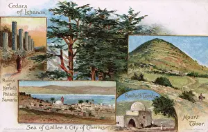 Tomb Prints: Scenes in Lebanon - Herods Palace, Mount Tabor, Galilee