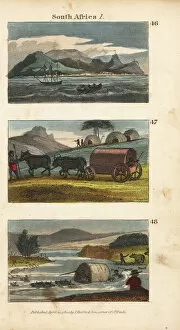 Ostrich Collection: Scenes in South Africa, 1820