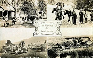 Pulled Prints: Scenes from South Africa