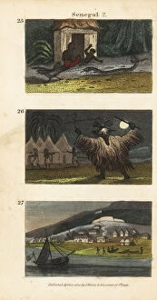 Images Dated 1st March 2020: Scenes from western Africa, 1820