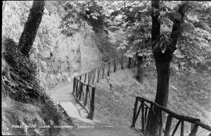 Guildford Prints: Scenic Pathway at Racks Close