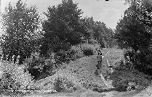 Bushes Prints: Scenic Pathway in Wareham