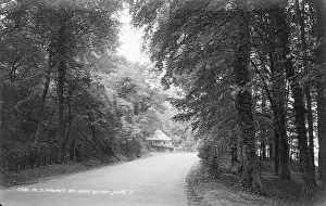 Scenic Road Near St. Margaret's Bay