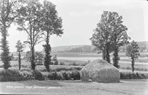 Axmouth Prints: Scenic View from Axmouth