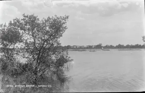 Scenic View of Barton Broad