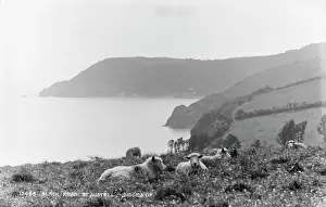Austell Prints: Scenic View of Black Head