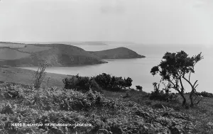 Ferns Prints: Scenic View of Blackhead near Mevagissey