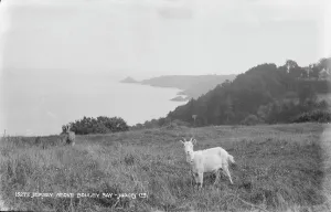Scenic View Above Bouley Bay