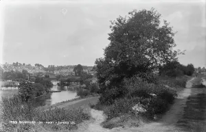 Greenery Prints: Scenic View of Bradford on Avon