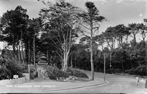 Chine Prints: Scenic View of Branksome Chine