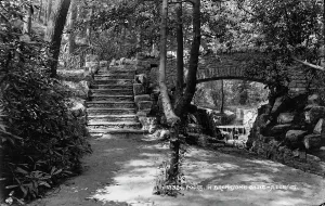 Chine Prints: Scenic View of Branksome Chine