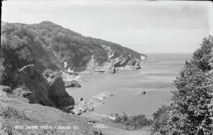 Tranquility Prints: Scenic View of Combe Martin