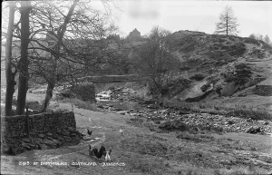 Chickens Prints: Scenic View at Darnholme