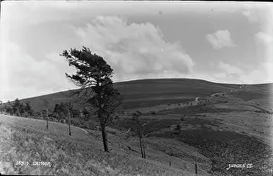 Exmoor Prints: Scenic View of Exmoor