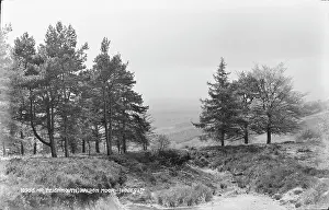 Heather Prints: Scenic View of Haldon Moor