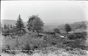 Teignmouth Prints: Scenic View of Haldon Moor
