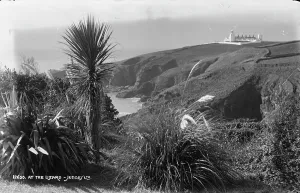 Grasses Prints: Scenic View at The Lizard