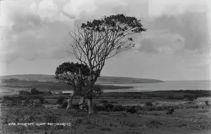 Scenic View of Lugwy Bay