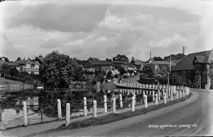 Swans Prints: Scenic View of Lyndfield