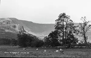 Pasture Prints: Scenic View of Marpale Valley