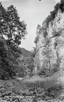 Millers Prints: Scenic View of Millers Dale