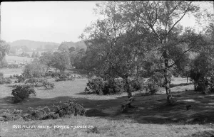 Milton Prints: Scenic View of Milton Heath