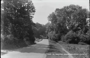 Guildford Prints: Scenic View at Mr. Newlands Corner