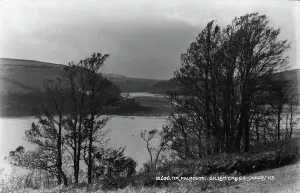 Overcast Prints: Scenic View Near Falmouth