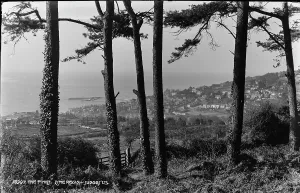 Lyme Prints: Scenic View from The Pines