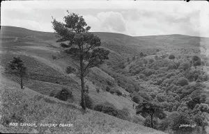 Beacon Prints: Scenic View of Punkery Beacon