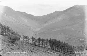 Powys Prints: Scenic View of Radnor Forest