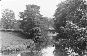 Riverbank Prints: Scenic View of the River Nidd in Knaresborough
