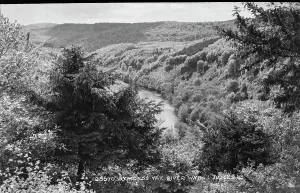 Herefordshire Prints: Scenic View of the River Wye at Symonds Yat