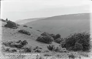 Ventnor Prints: Scenic View from St. Boniface Down