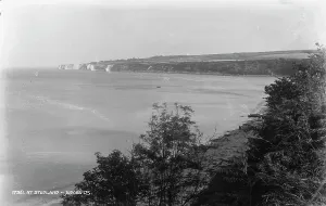 Greenery Prints: Scenic View at Studland