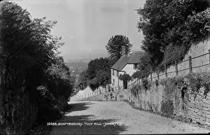Shaftesbury Prints: Scenic View of Tout Hill