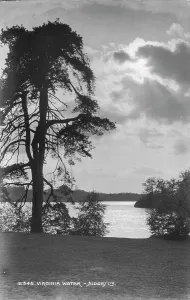 Judges Prints: Scenic View of Virginia Water