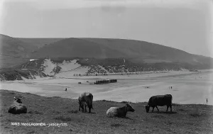 Cows Prints: Scenic View of Woolacombe Beach
