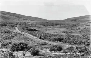 Moorland Prints: Scenic Walk on Kirby Moor