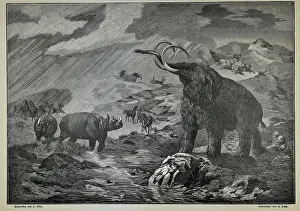 Mammoth Prints: Scharkathal near Prague at the time of the Mammoth
