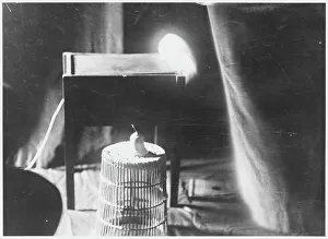 Mediumship Gallery: Schneider Handkerchief