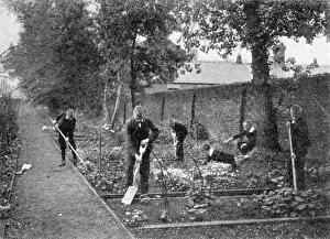 Anerley Gallery: School for Deaf Boys, Anerley, London - gardening