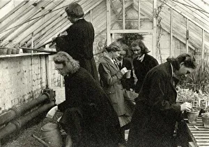 Watering Gallery: Schoolgirls in greenhouse learning horticulture