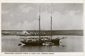 Falkland Prints: Schooner loading wool at North Arm, Falkland Islands